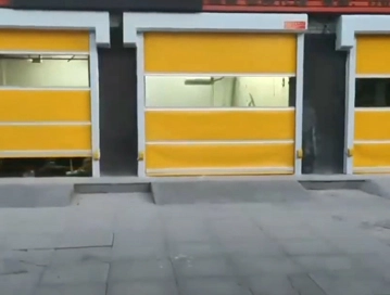fast action doors-2